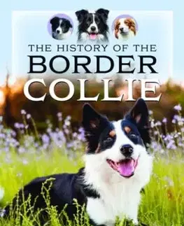 The History of the Border Collie - Shawn Williamson