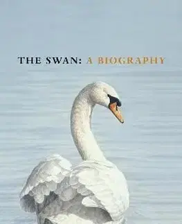 The Swan - Stephen Moss