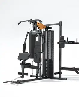 inSPORTline Profigym C60
