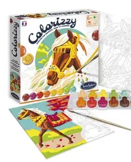 Colorizyy Maľovanie podľa čísel Kone - SentoSphére