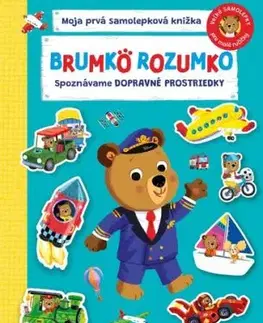 Brumko Rozumko: Spoznávame dopravné prostriedky - Samolepková knižka - Benji Davies, Benji Davies