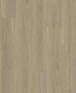 PARADOR Basic 5.3 SPC Dub oxford brúsený 1748824