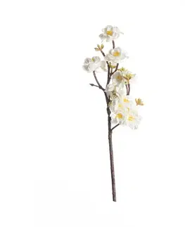 Dekoria Vetvička Peach 40cm white, 10 x 10 x 40 cm