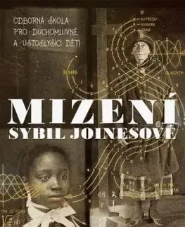 Mizení Sybil Joinesové - Shelley Jacksonová