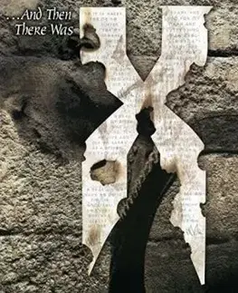 DMX - ... and Then There Was X (Limited) 2LP - Dmx
