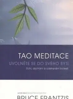 Tao meditace - Bruce Frantzis