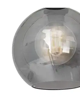  Náhradné univerzálne sklo SOFIA E27, priemer 20 cm, dymovo-čierne PLM854