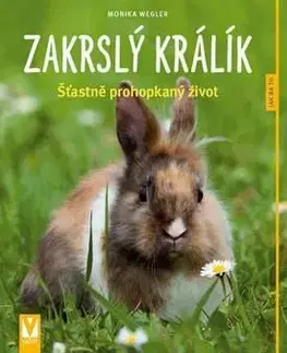 Zakrslý králík - Monika Weglerová