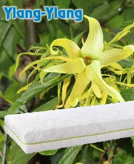 Matrac Ylang z pamäťovej peny DreamBed - 80x200cm Tiahome