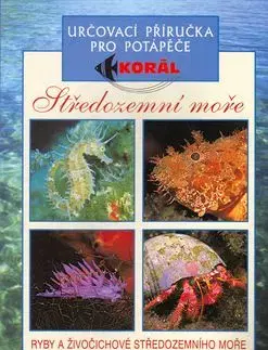 Středozemní moře - Ryby a živočichové - Lawson Wood