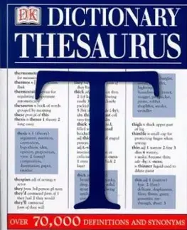 DICTIONARY THESAURUS
