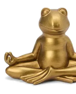 Šťastná žaba