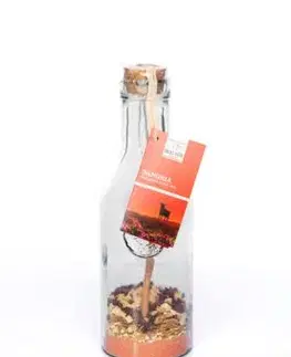 Sangria mix na víno v karafe