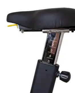 inSPORTline Airbike Pro