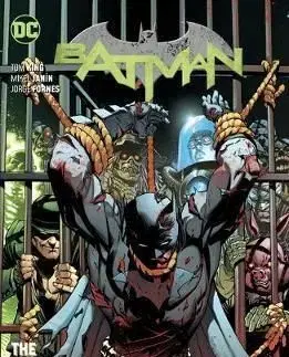 Batman Volume 11 The Fall and the Fallen - Tom King