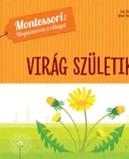 Virág születik - Montessori: Megismerem a világot - Chiara Piroddi