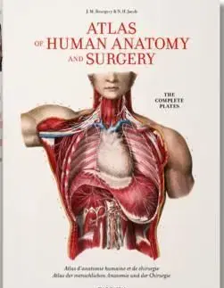 Bourgery, Atlas of Human Anatomy and Surgery - Le Minor Jean-Marie, Henri Sick