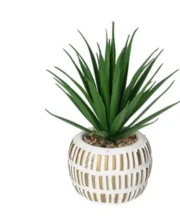 Dekoria Dekorácia Aloe Vera v kvetináči 13cm, 8 x 8 x 13 cm