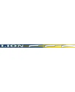 LION LION 6600 pravá