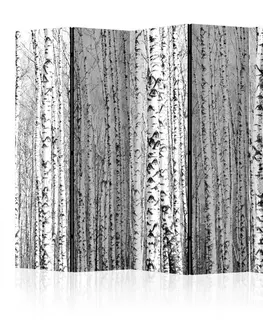 Paraván Birch forest Dekorhome