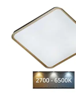  LED Stmievateľné stropné svietidlo UNA LED/60W/230V 2700-6500K + diaľkové ovládanie 008 0001114