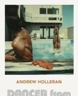 Dancer from the Dance - Andrew Holleran