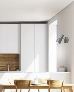 Nástenná lampa Picardo E14 sivo-strieborná