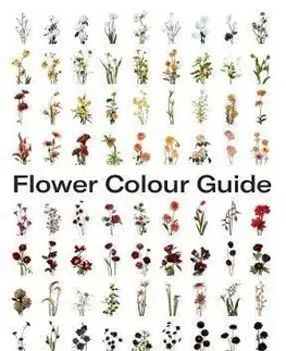 Flower Colour Guide - Michael Putnam