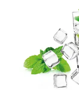 Tescoma tvorítko na ľad myDRINK, kocky