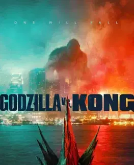 Godzilla vs. Kong DVD