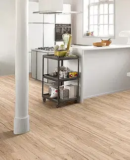 PARADOR Basic 5.3 SPC Dub Memory brúsený kartáčovaná štruktúra 1743002