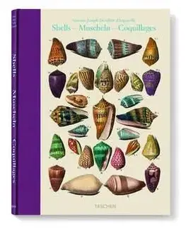 Shells Dezallier dArgenville