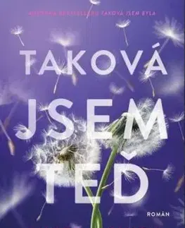 Taková jsem teď - Amber Smith