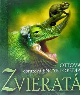Zvieratá