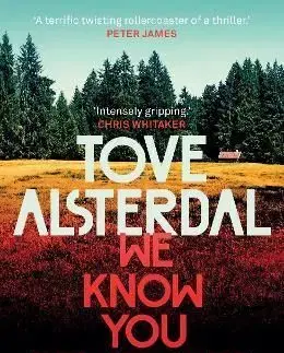 We Know You Remember - Tove Alsterdal