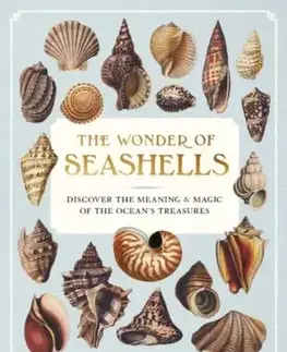 The Wonder of Seashells - Melissa Hobson