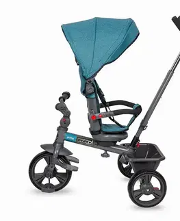 Coccolle Primo Lunar Rock