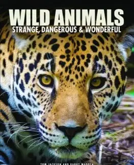 Wild Animals - Barry Madden, Tom Jackson