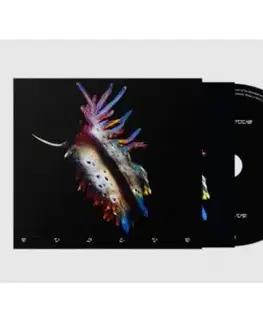 Sub Focus - Evolve CD - Sub Focus
