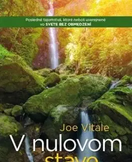 V nulovom stave - Joe Vitale