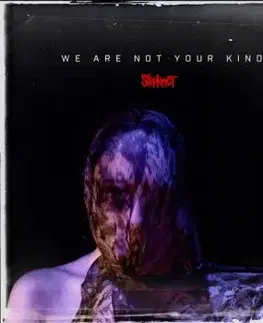 Slipknot - We Are Not Your Kind 2LP - Slipknot