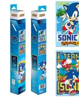 Licenčný plagát Sonic