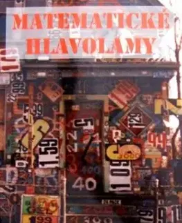 Matematické hlavolamy - nové vydanie - Miroslav Telepovský