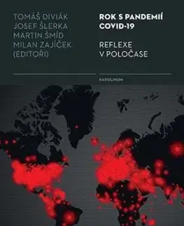 Rok s pandemií covid-19 Reflexe v poločase