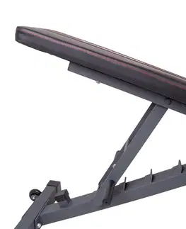 inSPORTline Profi Sit up bench