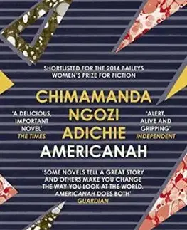 Americanah - Chimamanda Ngozi Adichie