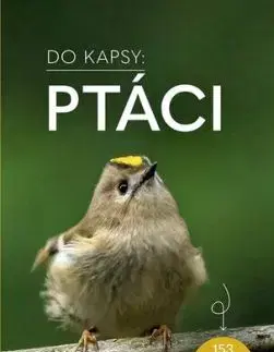 Ptáci - Do kapsy - Volker Dierschke
