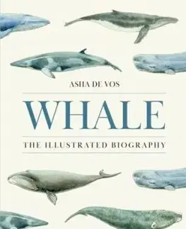 Whale - Asha de Vos