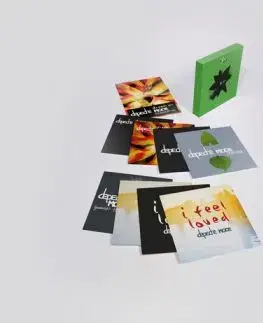 Depeche Mode - Exciter: The 12" Singles 8LP - Depeche Mode