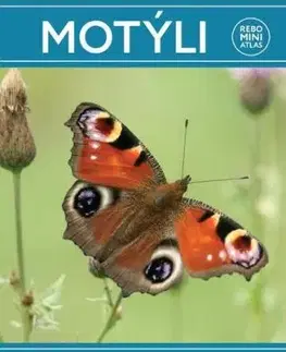 Motýli miniatlas